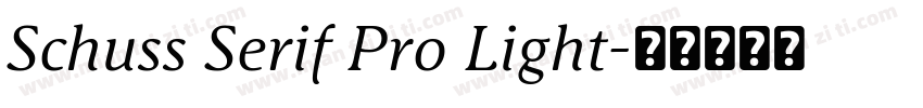 Schuss Serif Pro Light字体转换